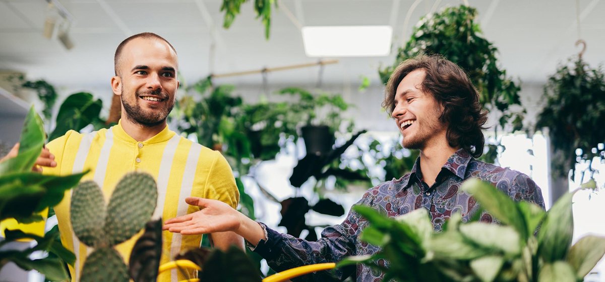 Expertos en administración de fincas